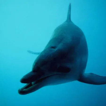 아파트 D & N Kaštela