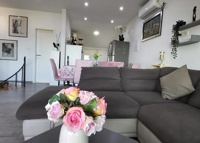 D & N Apartament