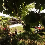 D & N * Kastela