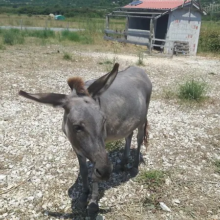 Appartamento D & N Kaštela